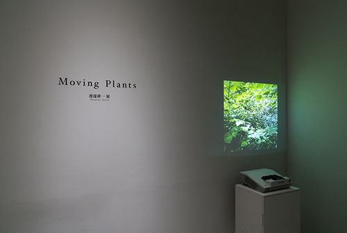 Moving Plants Koichi Watanabe Exhibition